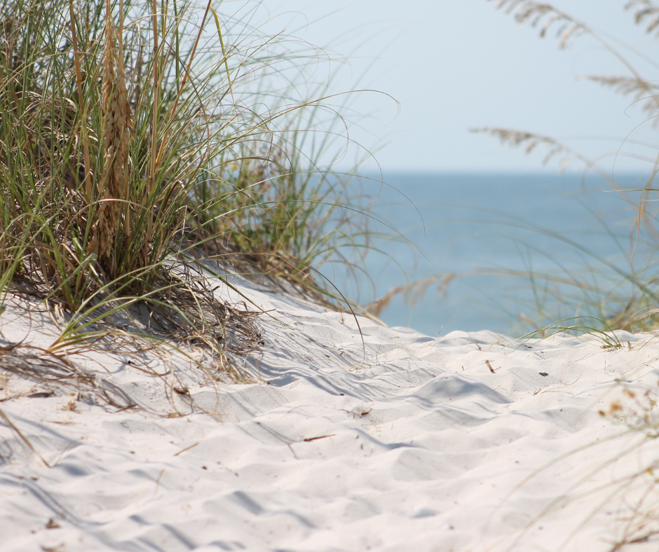 new construction home, florida, water view, pet friendly beaches, gulf of mexico, indian pass, port st joe, 
